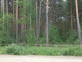 Продажа земельного участка: д. Ключи (г.о. Сысертский), ул. Дальняя,   (городской округ Сысертский) - Фото 2