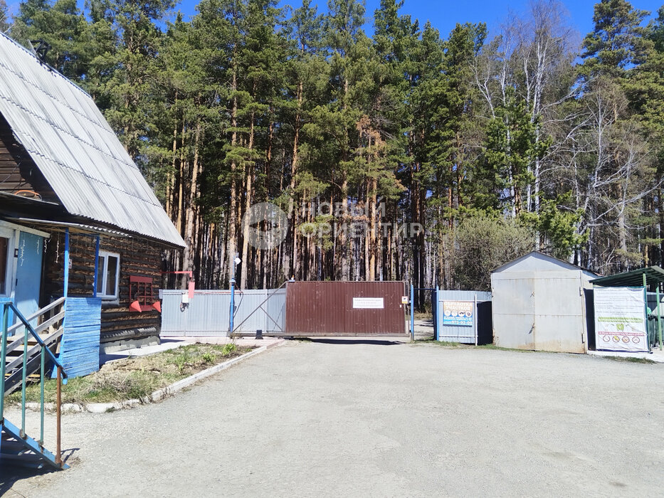 Екатеринбург, ДНТ Поселок Родник, ул. г. Екатеринбург, 9 км Чусовского тракта, участок 354 - фото сада (13)