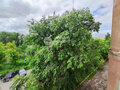 Продажа квартиры: г. Ревда, ул. Ленина, 20 (городской округ Ревда) - Фото 11