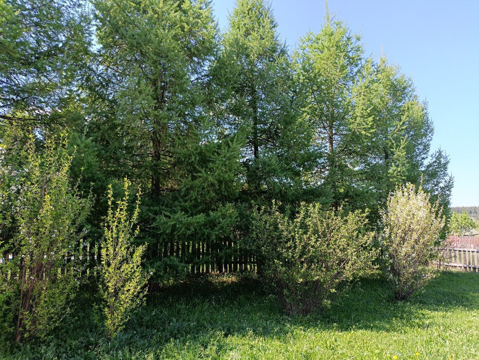 п. Краснояр, ул. Комсомольская, 34 (городской округ Ревда) - фото дома (4)