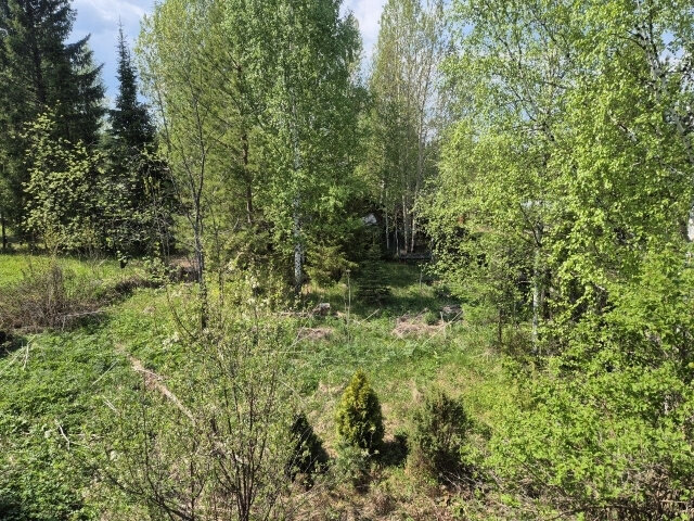 п. Ильмовка, СОТ Ильмовка-4 (городской округ Первоуральск) - фото сада (2)