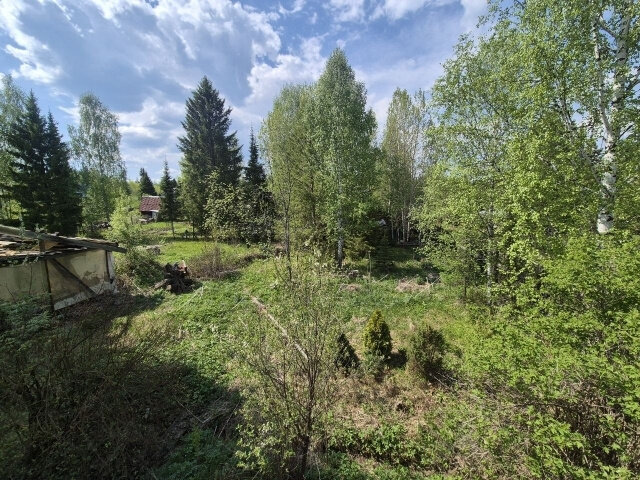 п. Ильмовка, СОТ Ильмовка-4 (городской округ Первоуральск) - фото сада (4)