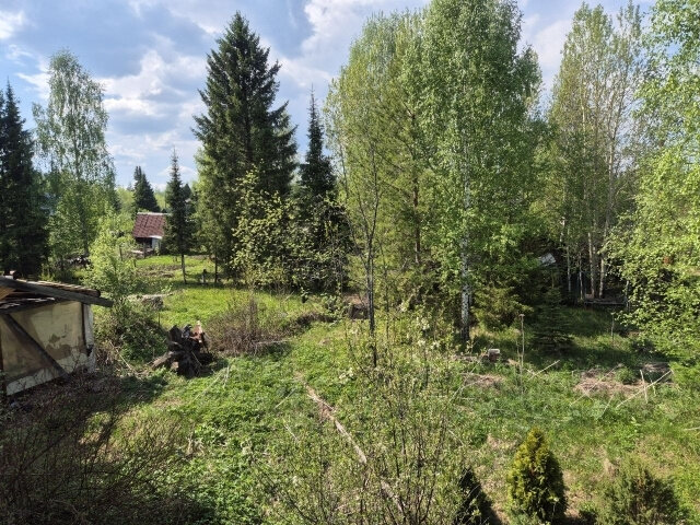 п. Ильмовка, СОТ Ильмовка-4 (городской округ Первоуральск) - фото сада (5)