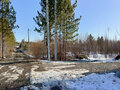 Продажа садового участка: с. Кашино, ДПК Урожай (городской округ Сысертский) - Фото 3
