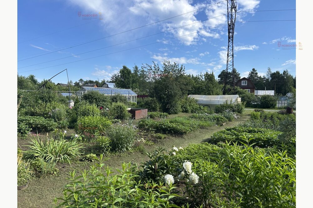 Екатеринбург, СНТ ГОРНЯК, уч. 116 - фото сада (11)
