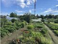 Продажа садового участка: Екатеринбург, СНТ ГОРНЯК, уч. 116 - Фото 12