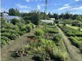 Продажа садового участка: Екатеринбург, СНТ ГОРНЯК, уч. 116 - Фото 13