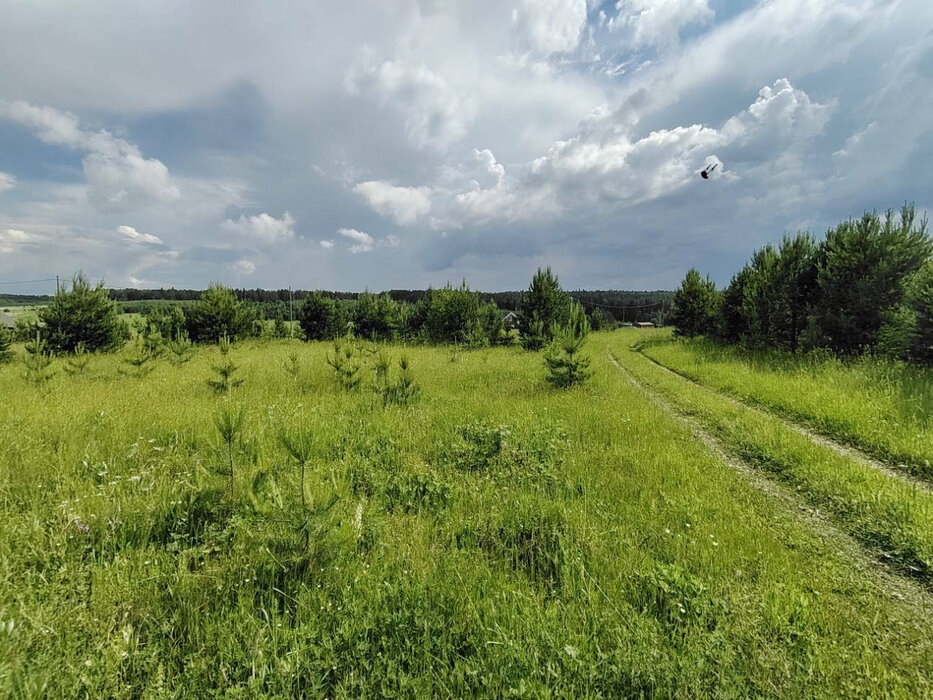 д. Половинка, ул. Энтузиастов, 9 (Нижнесергинский район) - фото земельного участка (6)