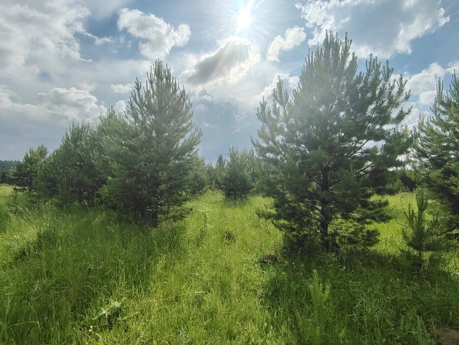 д. Половинка, ул. Энтузиастов, 9 (Нижнесергинский район) - фото земельного участка (7)