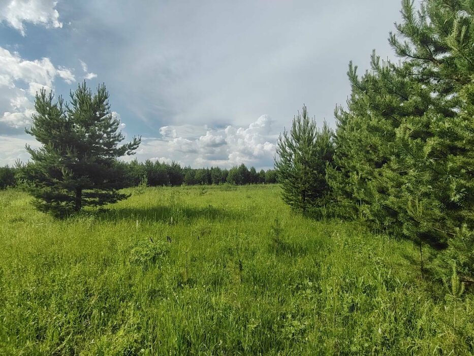 д. Половинка, ул. Энтузиастов, 9 (Нижнесергинский район) - фото земельного участка (8)