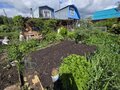Продажа садового участка: п. Кедровое, снт 