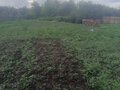 Продажа дома: п. Мраморское, ул. Пушкина, 8 (городской округ Полевской) - Фото 10