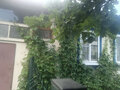Продажа дома: п. Мраморское, ул. Пушкина, 8 (городской округ Полевской) - Фото 2