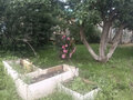 Продажа дома: п. Мраморское, ул. Пушкина, 8 (городской округ Полевской) - Фото 9