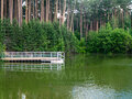 Продажа дома: г. Сысерть, ул. Римская, 1 (городской округ Сысертский) - Фото 15