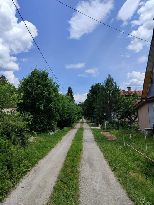 п. Сагра, к/с Рябинка (городской округ Верхняя Пышма) - фото сада (13)