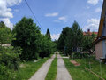 Продажа садового участка: п. Сагра, к/с Рябинка (городской округ Верхняя Пышма) - Фото 13
