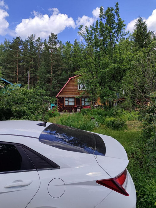 п. Сагра, к/с Рябинка (городской округ Верхняя Пышма) - фото сада (4)