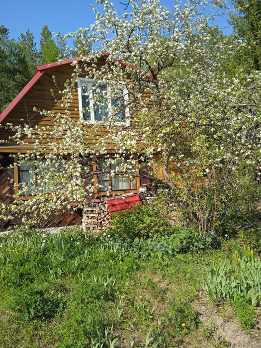 п. Сагра, к/с Рябинка (городской округ Верхняя Пышма) - фото сада (6)