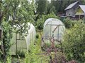 Продажа садового участка: г. Верхняя Пышма, к/с  СНТ 