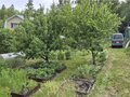 Продажа садового участка: г. Верхняя Пышма, к/с  СНТ 