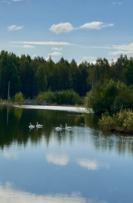 к.п. Князевское, ул. Александра Невского, 30 (городской округ Первоуральск, п. Хрустальная) - фото земельного участка (3)