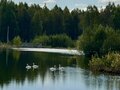 Продажа земельного участка: к.п. Князевское, ул. Александра Невского, 30 (городской округ Первоуральск, п. Хрустальная) - Фото 3