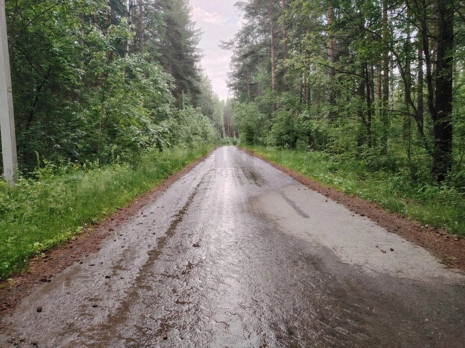 Екатеринбург, СНТ Горный, уч. 161 - фото сада (1)
