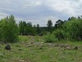 Продажа земельного участка: к.п. Новое созвездие, уч. 78 (Октябрьский район) - Фото 2
