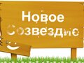 Продажа земельного участка: к.п. Новое созвездие, уч. 78 (Октябрьский район) - Фото 3