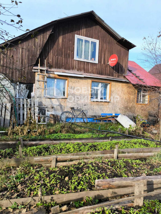 с. Балтым, СНТ Ясень (городской округ Верхняя Пышма) - фото сада (1)