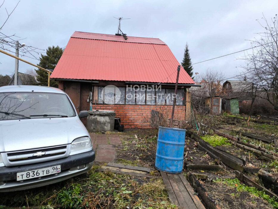 с. Балтым, СНТ Ясень (городской округ Верхняя Пышма) - фото сада (3)