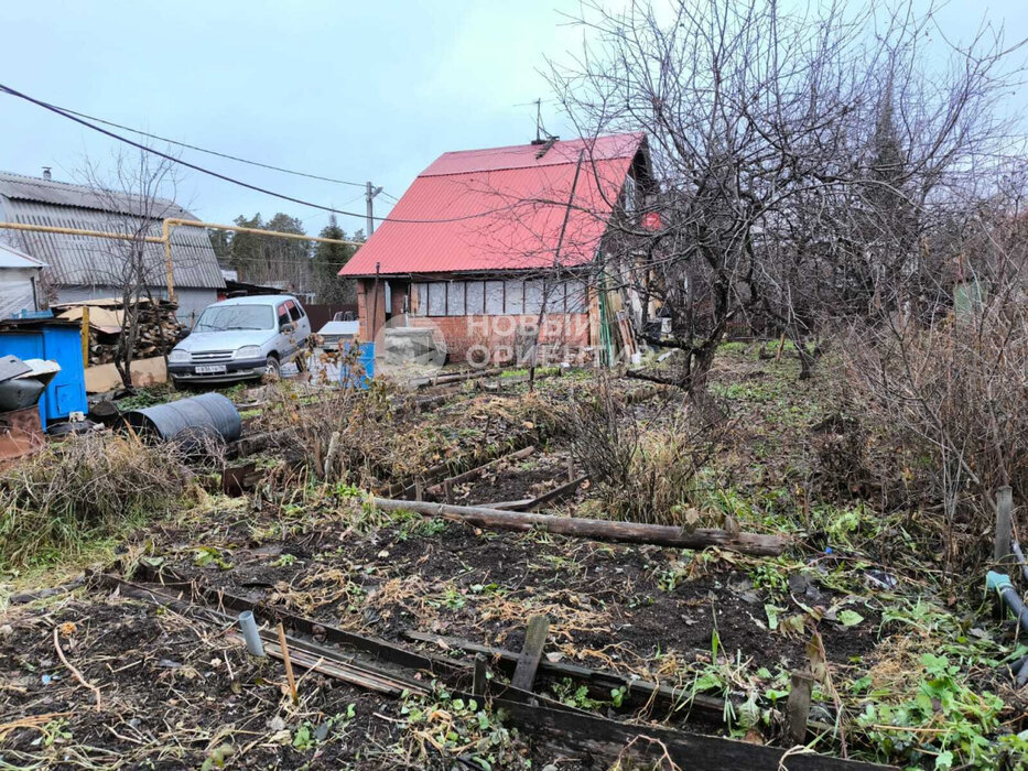 с. Балтым, СНТ Ясень (городской округ Верхняя Пышма) - фото сада (4)