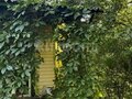 Продажа садового участка: с. Николо-Павловское, коллективный сад № 3 Тагилстрой, ул. Северная (городской округ Горноуральский) - Фото 2