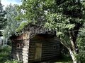 Продажа садового участка: с. Николо-Павловское, коллективный сад № 3 Тагилстрой, ул. Северная (городской округ Горноуральский) - Фото 9