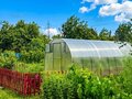 Продажа садового участка: Екатеринбург, к/с Труженик, уч. 28 (Пионерский) - Фото 11