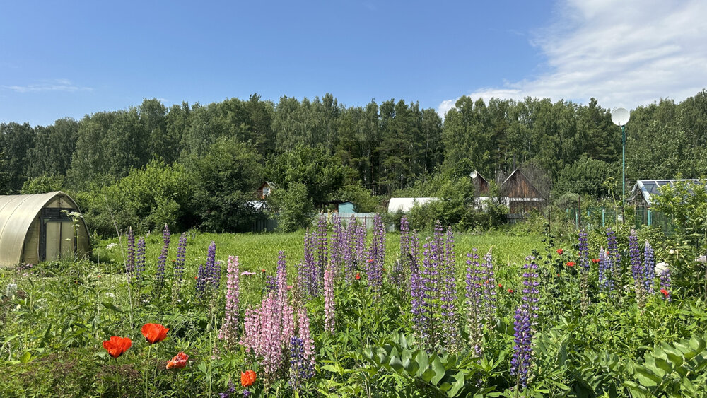 д. Марамзина, к/с Фантазия (городской округ Белоярский) - фото сада (2)