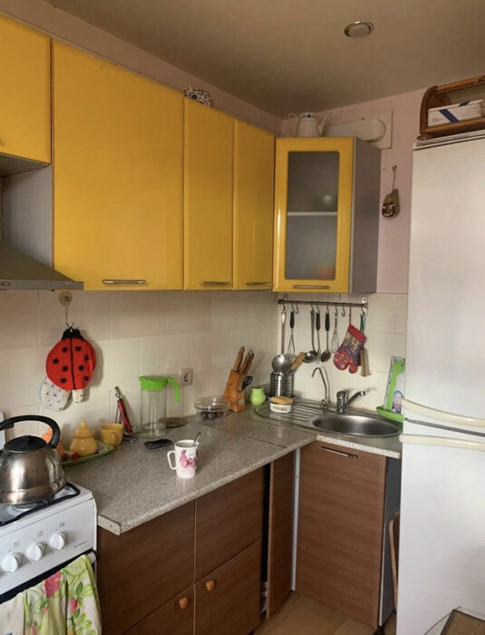 Екатеринбург, ул. Старых Большевиков, 54 (Эльмаш) - фото квартиры (1)