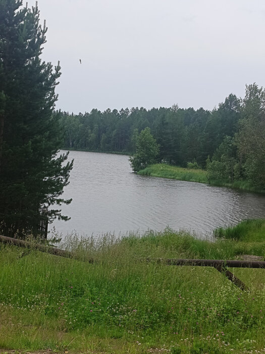 п. Уралец, ул.  к.с.Первомайский (городской округ Нижний Тагил) - фото дачи (1)