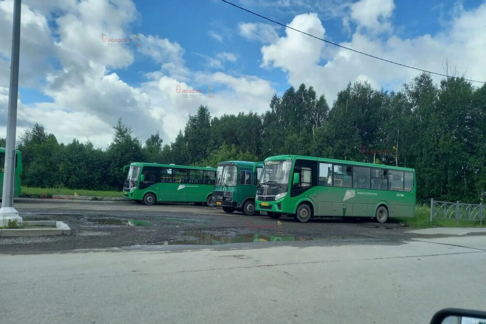 Екатеринбург, к/с  Колосок (Широкая речка) - фото сада (10)
