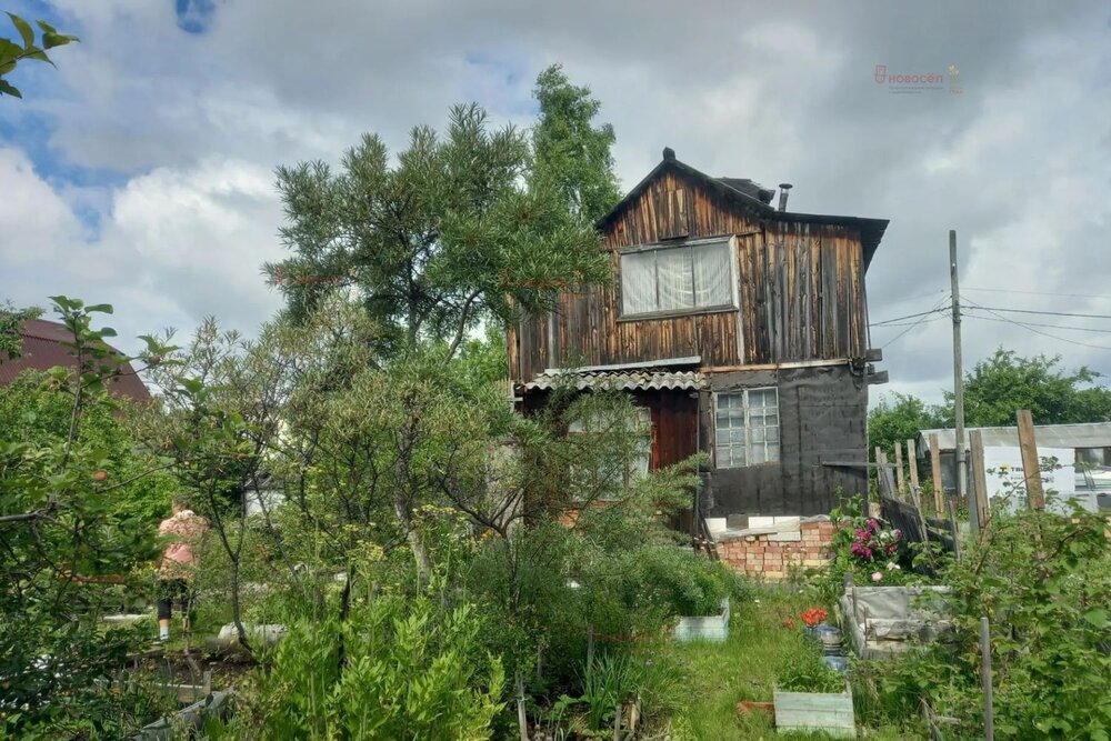 Екатеринбург, к/с  Колосок (Широкая речка) - фото сада (2)