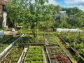 Продажа садового участка: Екатеринбург, к/с  Колосок (Широкая речка) - Фото 8