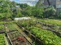 Продажа садового участка: Екатеринбург, к/с  Колосок (Широкая речка) - Фото 9