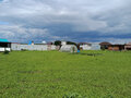 Продажа земельного участка: к.п. Александрия, ул. Первая, 19 (городской округ Белоярский, д. Гусева) - Фото 4