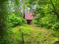 Продажа дачи: Екатеринбург, ул. СНТ Светлый, 79 (Палкинский торфяник) - Фото 9