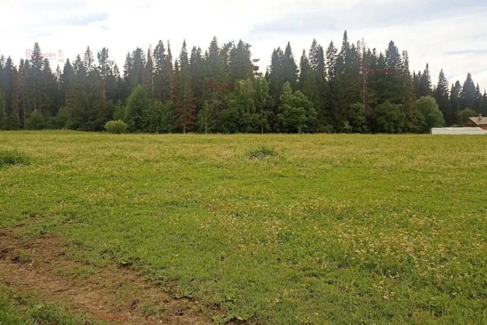 п. Краснояр, ул. Космическая, 1 (городской округ Ревда) - фото земельного участка (2)