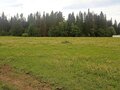 Продажа земельного участка: п. Краснояр, ул. Космическая, 1 (городской округ Ревда) - Фото 7