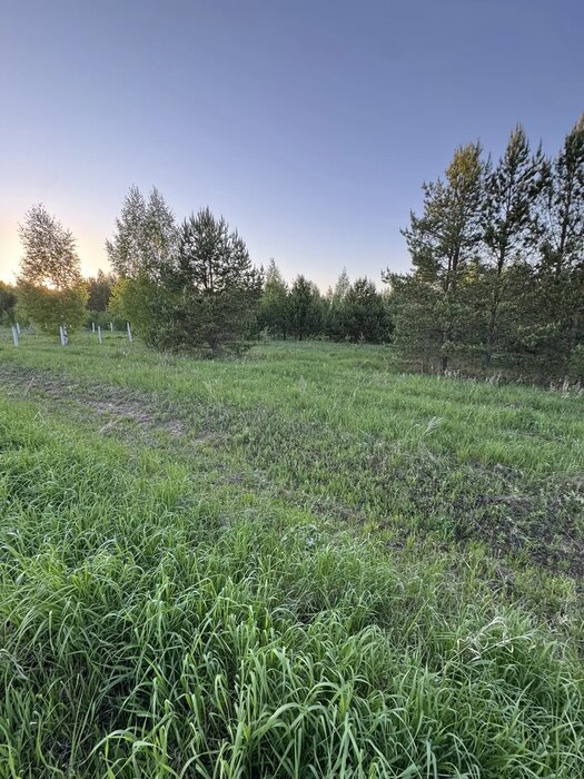 г. Арамиль, ул. Самоцветная, 53 (городской округ Арамильский) - фото земельного участка (3)