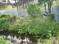 Продажа дома: Екатеринбург, ул. Ст Совхозный, 404 (Садовый) - Фото 13