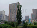 Продажа квартиры: Екатеринбург, ул. Академика Парина, 41 (Академический) - Фото 14